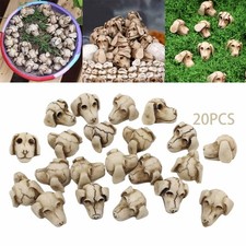 20 pezzi Mini teschi di cane Ornamenti di teschi animali Piccole statuette