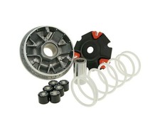 Variatore MALOSSI Multivar