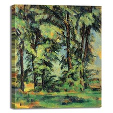 Cezanne alberi alto fusto