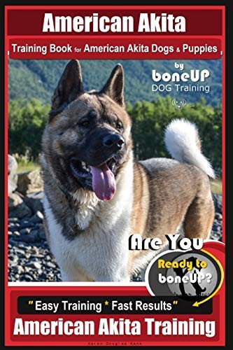 American akita training - american,