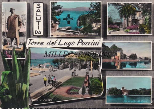 Torre del lago puccini saluti - torre,
