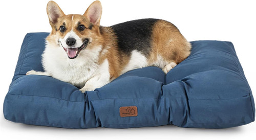 Cuscino per cani - cuscino,