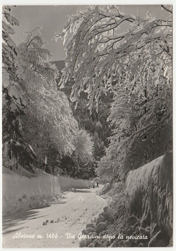 Abetone pistoia via - abetone,