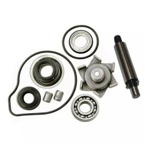 Kit revisione pompa acqua - revisione,