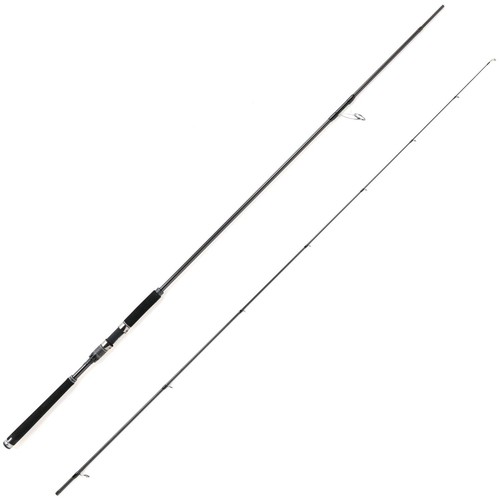 Abugarcia salty stage - abugarcia,