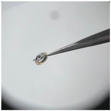 Rolex Originaila Calibro