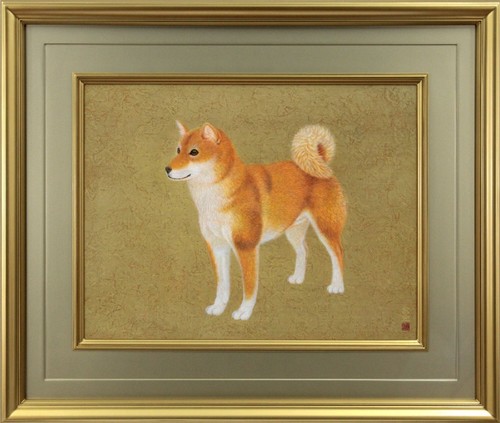 Masahiro taguchi shiba inu - masahiro,