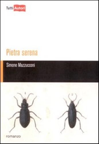 Pietra serena mazzucconi - pietra,