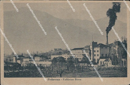 Ba645 cartolina pedavena - ba645,