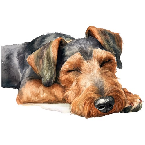 Adesivi airedale terrier - airedale,