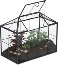 Terrario Piante, Mini Serra in
