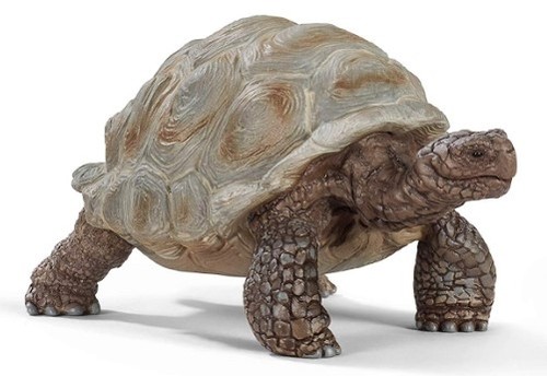 Schleich tartaruga gigante - tartaruga, gigante,