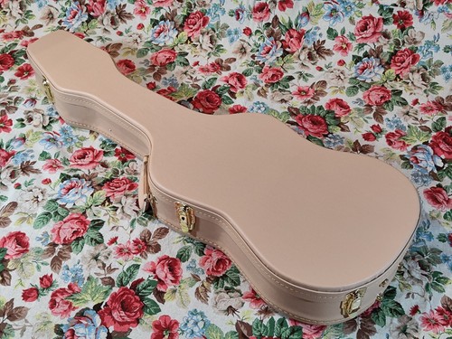 Custodia per chitarra