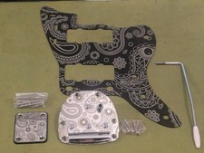 Set Paisley Jazzmaster