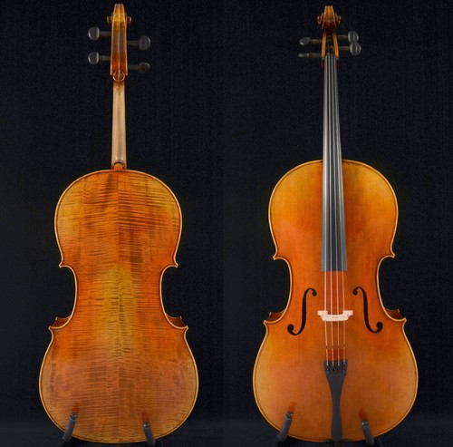 Eccezionale suono violoncello - suono,