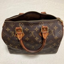 Borsa Louis Vuitton Speedy 25