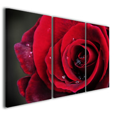 Quadri moderni rosa rossa Red
