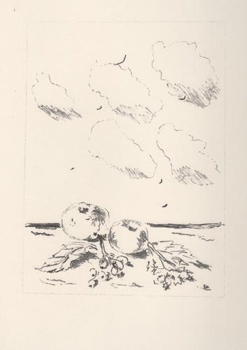 Filippo pisis natura - pisis,