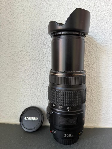 Canon 300 4 - mm, is