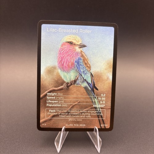 Life tcg rullo - life, lilla