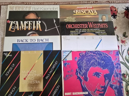 Lotto vinile 33 giri - lp,