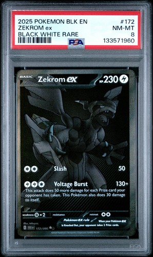 2025 pokemon nero - 2025, en-nero