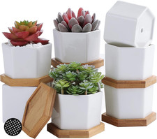 Vaso per Piante in Ceramica