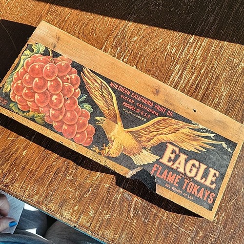 Vintage aquila uva frutta - aquila,