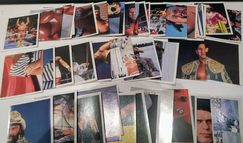 Adesivi wwf merlin superstars - adesivi,
