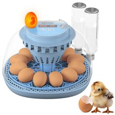 Incubadora De Doce Huevos Con