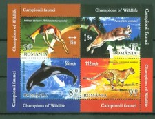 Romania 2015 - Animali -
