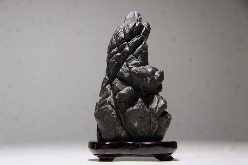 Bonsai suiseki giardino - di,