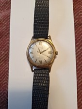 PROVITA EXTRA 17 RUBIS