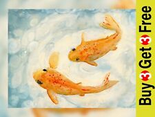 Graziosa coppia di carpe Koi