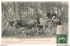 AYDP10-0845-40 - Landes - Nel