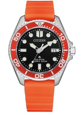 Super model citizen - super, promaster