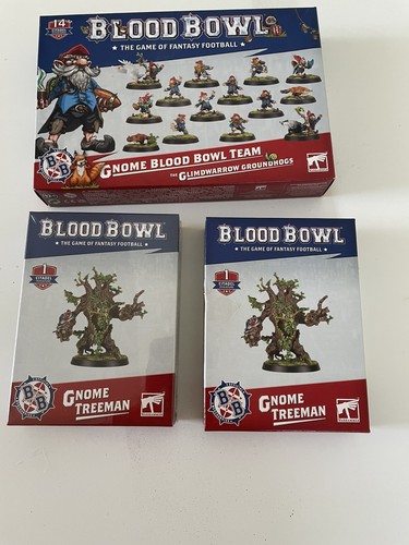 Gnome blood bowl - bowl, team