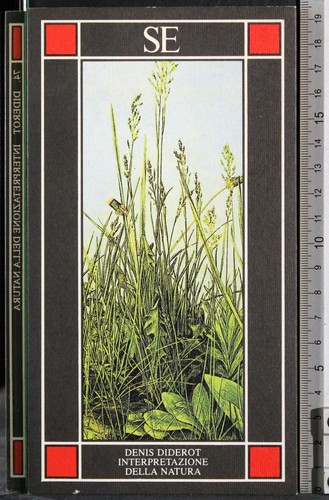 Interpretazione della natura - della,