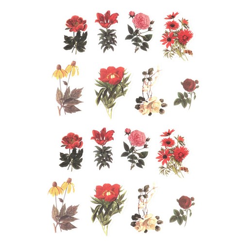 Adesivi scrapbooking - ,