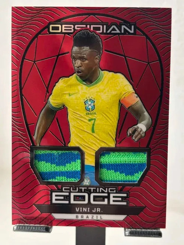 Vini 2024 panini - jr, 2024/25