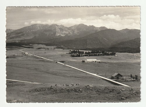 Altipiano del cansiglio - altipiano,