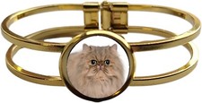 Persian Cat Pet High Quality