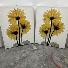 Set of 2 Yellow Daisy Canvas Wall Art - A. Kashian Botanical Floral Prints