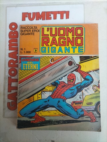 Raccolta uomo ragno gigante - ragno,