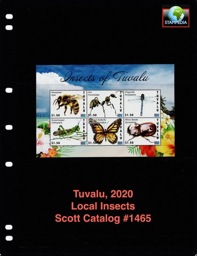Scott value 2020 - $13,00,