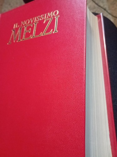 Novissimo melzi dizionario - il,