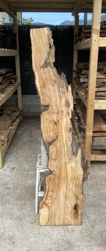 Tavola legno ulivo - legno, di