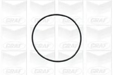 Pompa acqua meccanico PA577