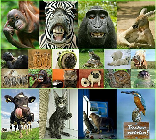 Animali divertenti set 20 - animali, di