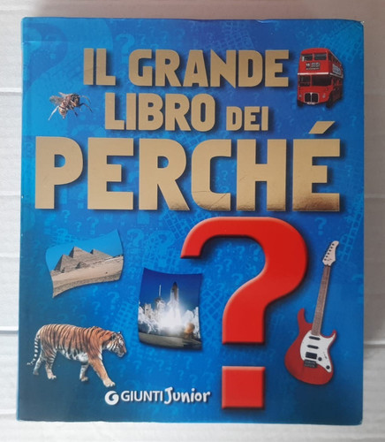 Grande libro dei perché - grande,